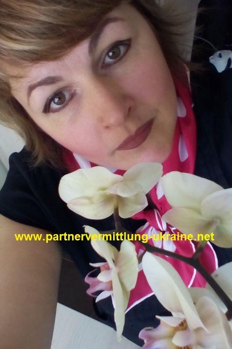 Partnervermittlung witze